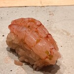 すしやのたい悟 - 北海縞海老さんでーす。