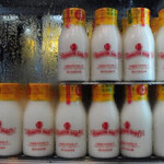 澳洲牛奶公司 - 