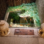 虎白 - 金魚 2014.8.2x