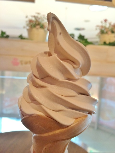 閉店 花畑牧場 札幌大通店 2fカフェ ハナバタケボクジョウ 大通 アイスクリーム 食べログ 閉店 花畑牧場 札幌大通店 2fカフェ ハナバタケボクジョウ 大通 アイスクリーム 食べログ