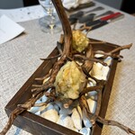 ヒカリヤ ニシ - 