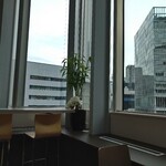 カカオサンパカ 大丸梅田店 - 