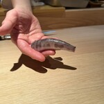 鮨 泉水 - ？？？　美味かったです（笑）