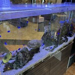 RESTAURANT LAPAZ - 店内