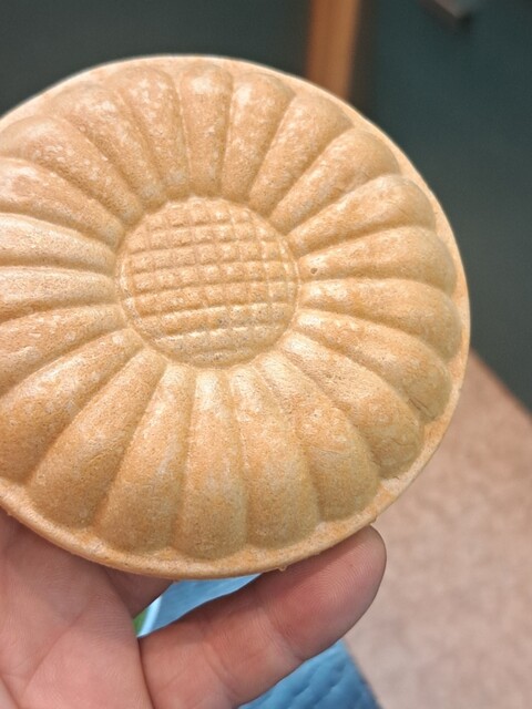 Gyokuro Ken Yoshizuya Kiyosu Ten