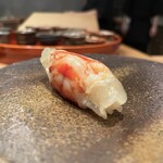 すし処 ひさ田 - 岡山 車海老