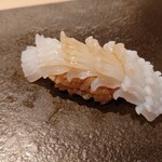 はっこく - 白烏賊