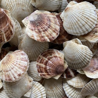 北海道産ホタテと魚介を8時間煮込んだ、魔法のような贅沢スープ