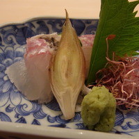 芝濱 - 鯛の刺身