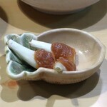 葵 - 新らっきょう