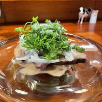 VENISON by TERRA - 
