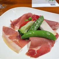 VENISON by TERRA - 