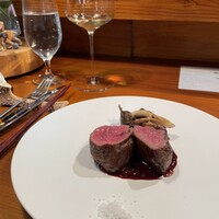 VENISON by TERRA - 