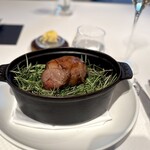 ジョンティ アッシュ - 