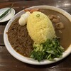 喫茶アジェンデ&カレーシャ - 2種あいがけ大盛＋パクチー増量＋ゆでたまご＋青唐辛子