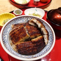 炭焼 うな富士 有楽町店 - 