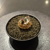 蓮 - 