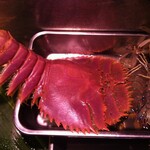 須崎屋台かじしか - 