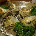 漁菜克献 - さざえ