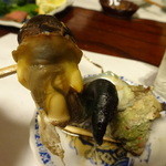 漁菜克献 - めっちゃ大きい！