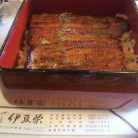 鰻割烹 伊豆栄 本店 - 