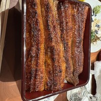 炭焼 うな富士 有楽町店 - 