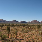 Gecko's Cafe - カタ・ジュタ（Kata Tjuṯa）