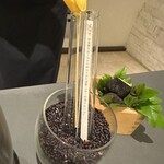 プレゼンテ スギ - 