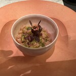 プレゼンテ スギ - 