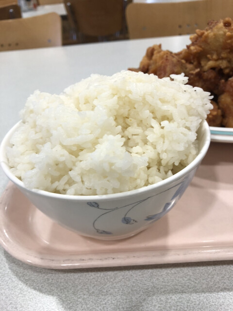 Sapporo Kaihatsu Kensetsu Bu Shokudo photo 4