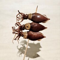 鮨料理 一高 - 