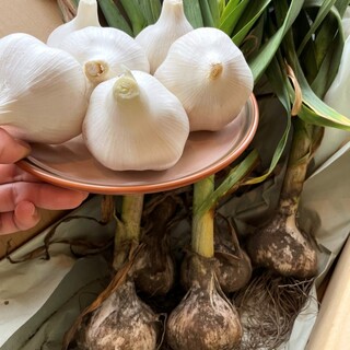 期間、数量限定『生にんにくの丸揚げ』