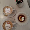 nounours cafe - 