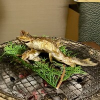 京懐石 みのきち 新宿住友店 - 活岩魚塩焼き