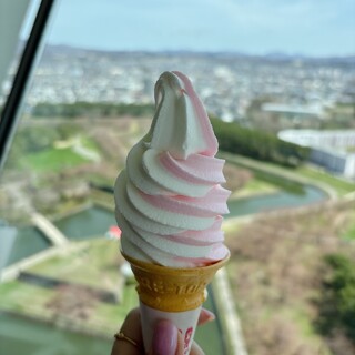 五稜郭タワー 展望カフェ_1