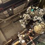 Japanese Ramen Noodle Lab Q - 