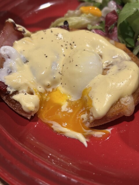 Musashino Mori Coffee Kasugai Shinogi Ten photo 3