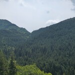 森の中のお肉レストラン アースガーデン - 