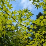 森の中のお肉レストラン アースガーデン - 