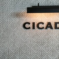 CICADA - 