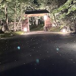 301955945 - 