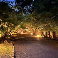 松山閣 松山 本店 - 