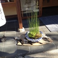 東京 芝 とうふ屋うかい - 