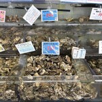 厚岸漁業協同組合直売店 エーウロコ - どっさり