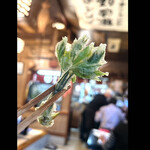 郷土料理ともん - コシアブラ　byまみこまみこ