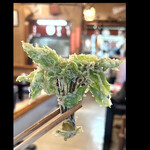 郷土料理ともん - 