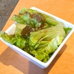 馬肉専門店　虎桜 - 