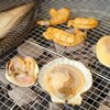 魚太郎 浜焼きバーベキュー  ラグーナ蒲郡店