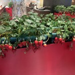 ヒルトン京都 - 