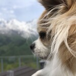 ザシティベーカリー - 